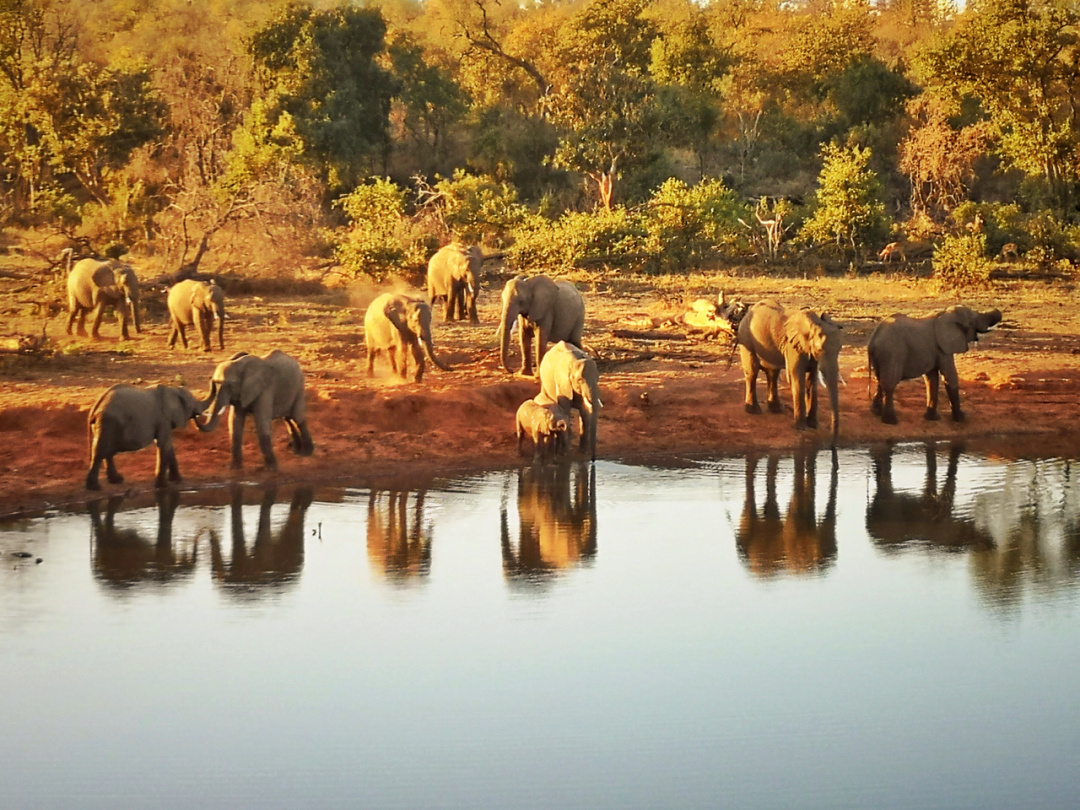国家公园需科学保护和合理开发并行